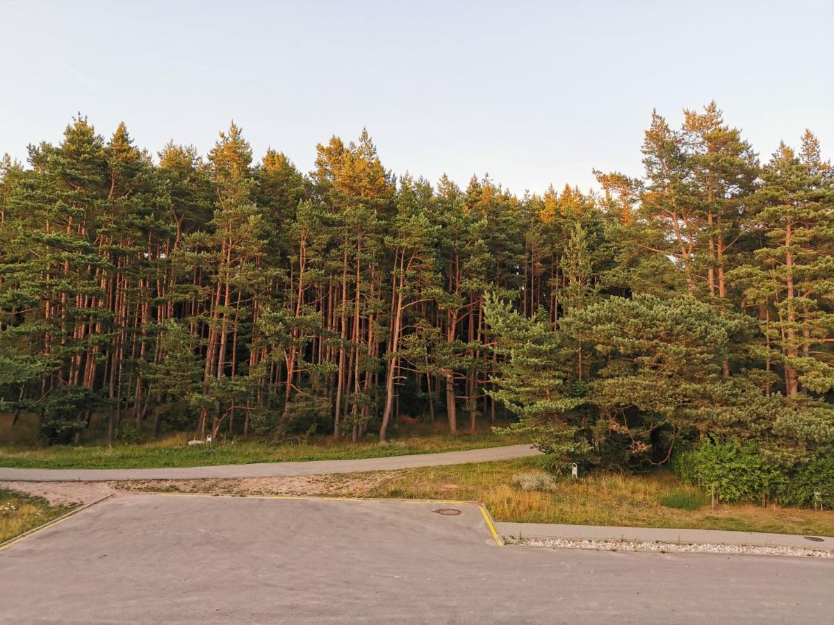 Melnrage Beach Cozy Apartments & Terrace - Pine View Sea Entry Klaipėda Extérieur photo